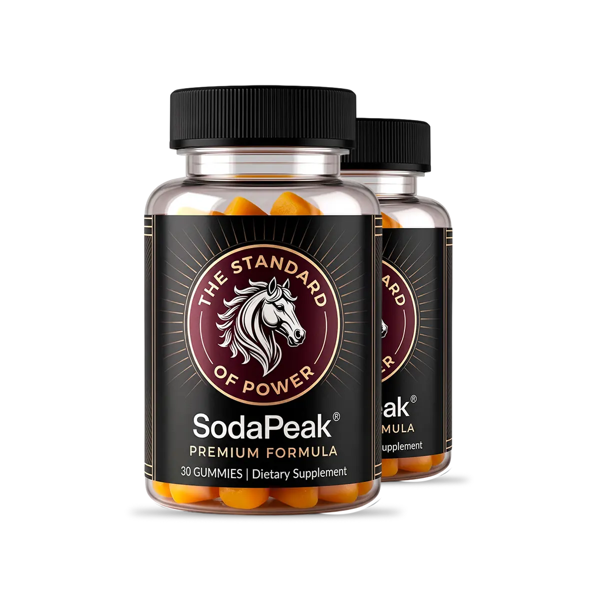 SodaPeak two-bottle package